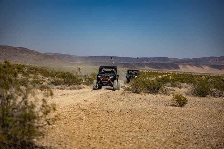 Guided Mojave Desert RZR Adventure from Las Vegas: Off-Road Trails & Joshua Tree Views photo 1