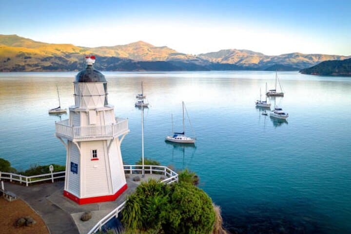 Akaroa Private Day Tour from Christchurch: Hector's Dolphins & Lyttelton Harbour Views photo 1