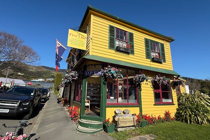 Akaroa Private Day Tour from Christchurch: Hector's Dolphins & Lyttelton Harbour Views photo 3