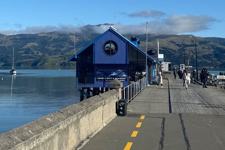 Akaroa Private Day Tour from Christchurch: Hector's Dolphins & Lyttelton Harbour Views photo 4