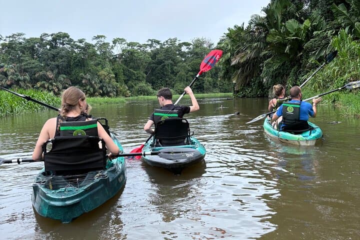 Tortuguero Kayak Tour: Paddle the Canals of Costa Rica’s Wildlife-Rich Park photo 3