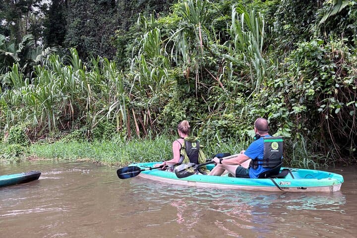 Tortuguero Kayak Tour: Paddle the Canals of Costa Rica’s Wildlife-Rich Park photo 4