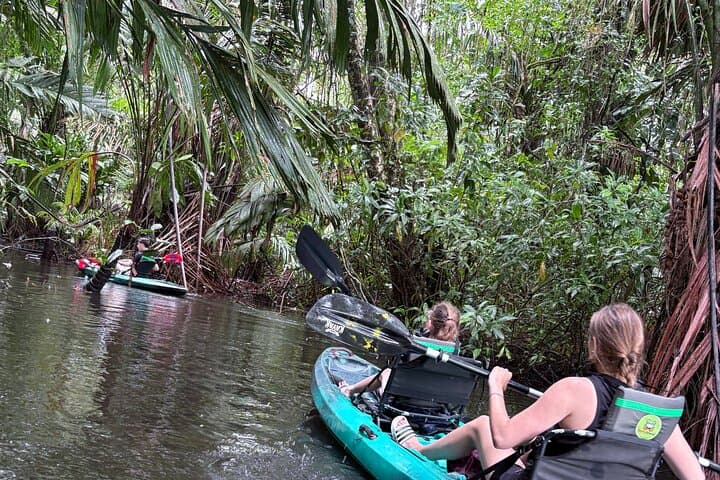 Tortuguero Kayak Tour: Paddle the Canals of Costa Rica’s Wildlife-Rich Park photo 5