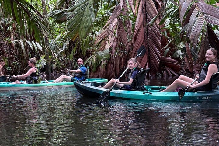 Tortuguero Kayak Tour: Paddle the Canals of Costa Rica’s Wildlife-Rich Park photo 6
