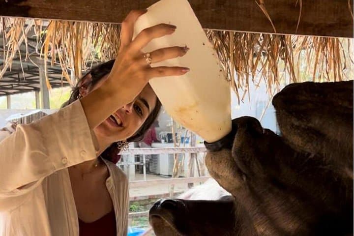Laos Buffalo Dairy Farm Tour — Hands-On Buffalo Experience Near Luang Prabang photo 4