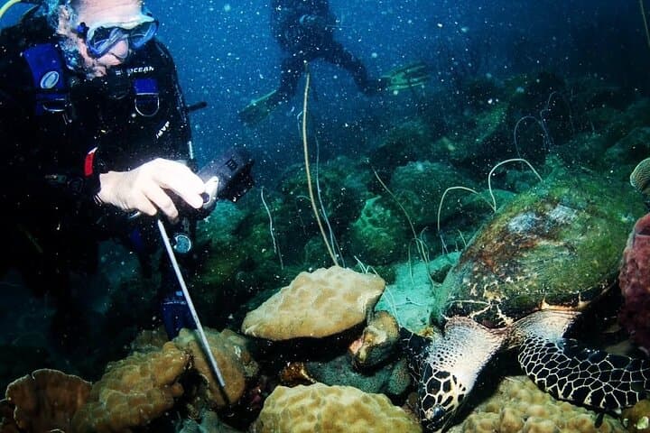 Koh Chang 2-Day PADI Scuba Diver Course — Learn to Dive to 12m photo 6