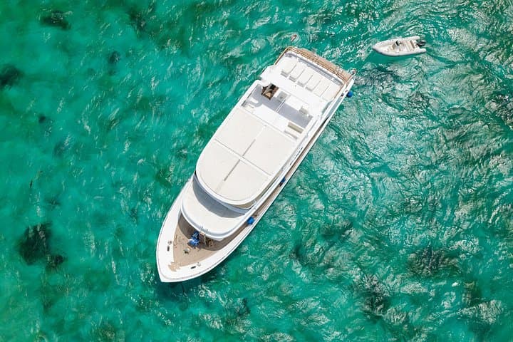 Elite VIP Dolphin House Cruise: Snorkel, Dolphins & Red Sea Relaxation photo 2