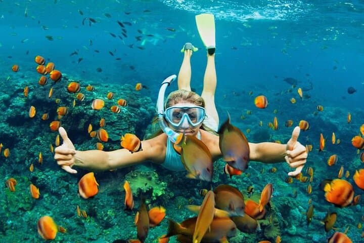 Cu Lao Cham Snorkeling Day Trip from Hoi An or Da Nang photo 3
