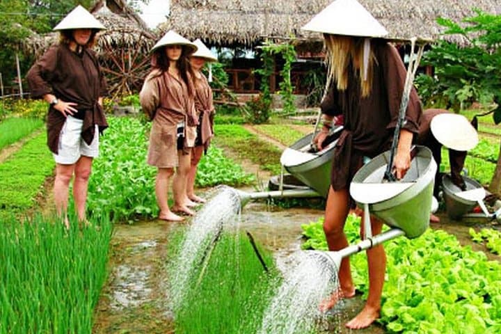 Hoi An Tra Que Village: Farming, Cooking & Herbal Massage Day Experience photo 3