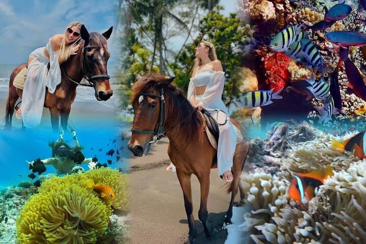 Sunrise Horse Ride and Blue Lagoon Snorkel in East Bali photo 2