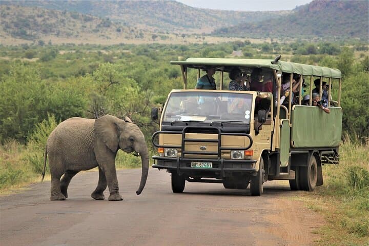 4-Day Garden Route Safari: Port Elizabeth to Cape Town via Tsitsikamma, Knysna & Benguela Cove photo 6