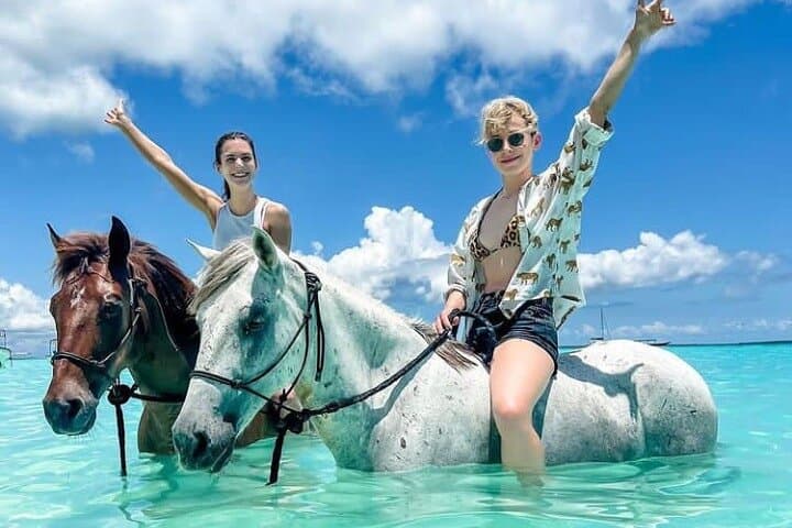 Swimming with Horses on Zanzibar Beaches: Sunrise & Sunset Horseback Rides