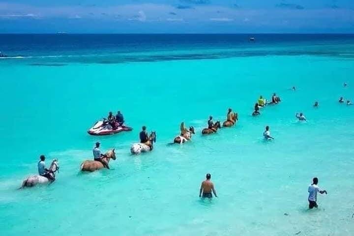 Swimming with Horses on Zanzibar Beaches: Sunrise & Sunset Horseback Rides photo 6