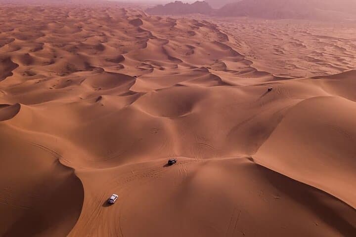 Doha Desert Safari: Sealine Dune Bashing, Camel Rides & Inland Sea Sunset photo 2