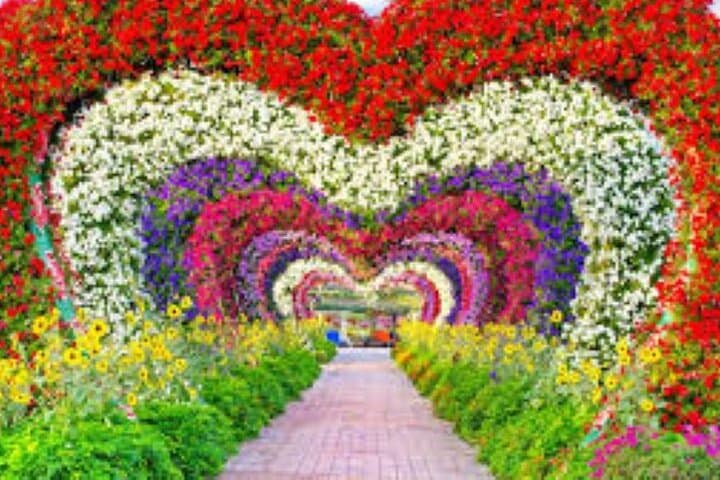 Dubai Miracle Garden: Ultimate Guide to Visiting the World’s Largest Flower Park photo 3