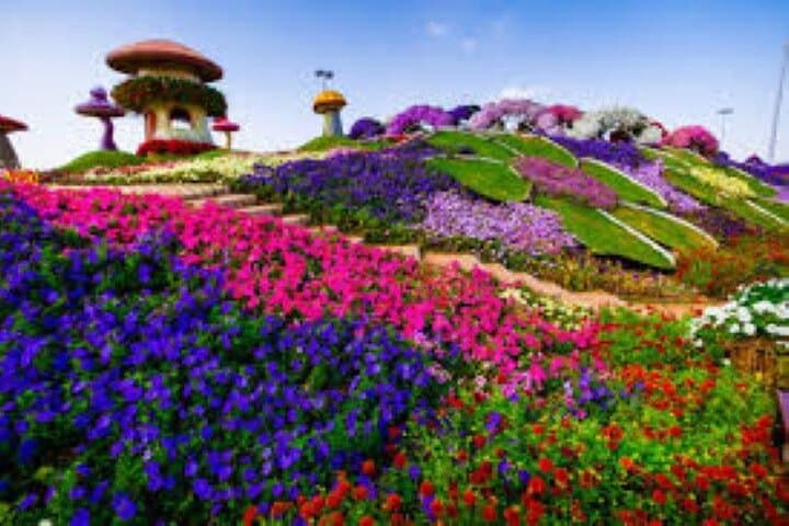 Dubai Miracle Garden: Ultimate Guide to Visiting the World’s Largest Flower Park photo 6