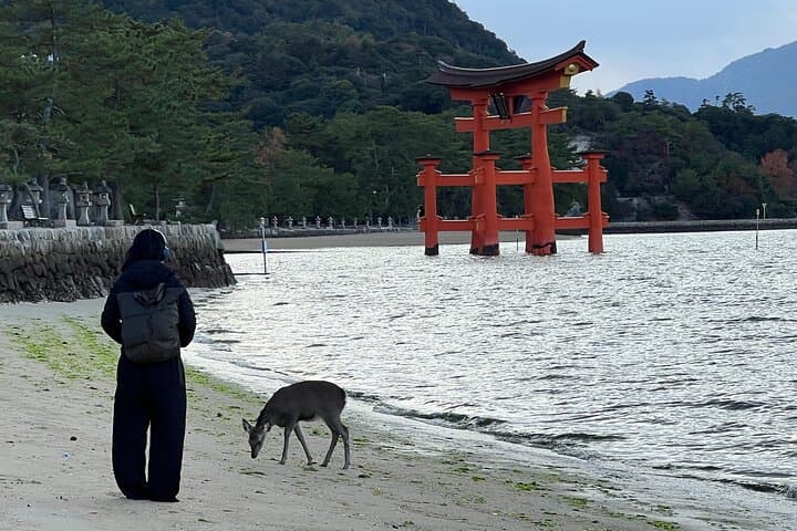 Kyoto Full-Day Excursion from Kobe Port: Private Temples, Gardens & Riverside Walks photo 3