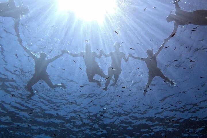 Elba Island Snorkel Cruise from Lacona with Sunset Dinner photo 2