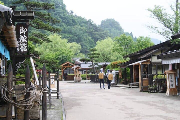 Private Nikko Day Trip from Tokyo — Toshogu Shrine, Shinkyo Bridge & Kegon Falls photo 6