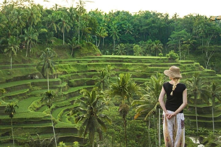 Best of Ubud in One Day: Monkey Forest, Tegalalang & Waterfall Shore Excursion photo 3