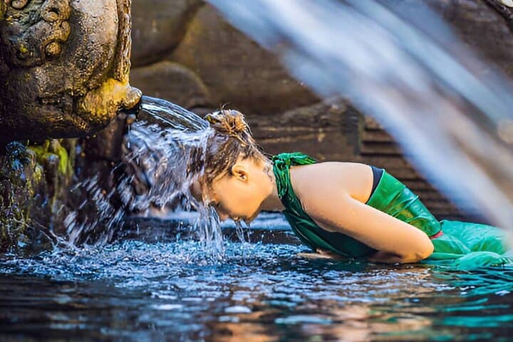 Bali Melukat Purification Ritual at Tirta Empul — Holy Water Temple Experience photo 4