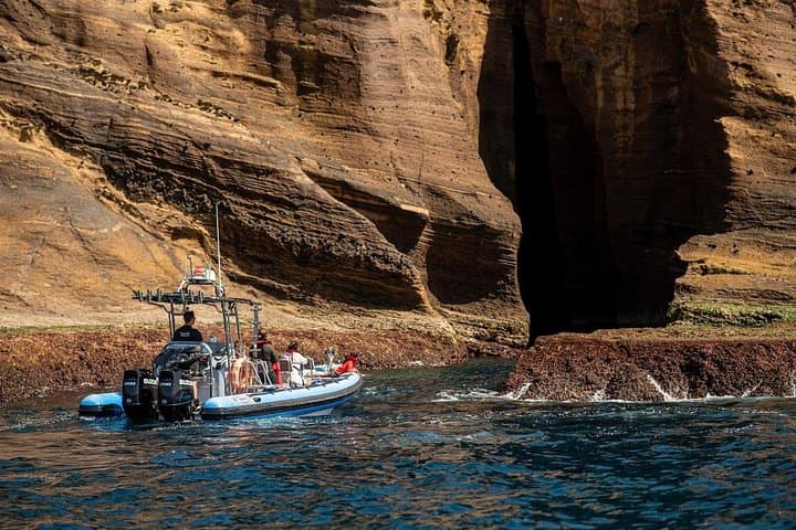 Islet Tour Around Ilhéu de Vila Franca: 1-Hour Boat Trip with Swim Stop photo 3