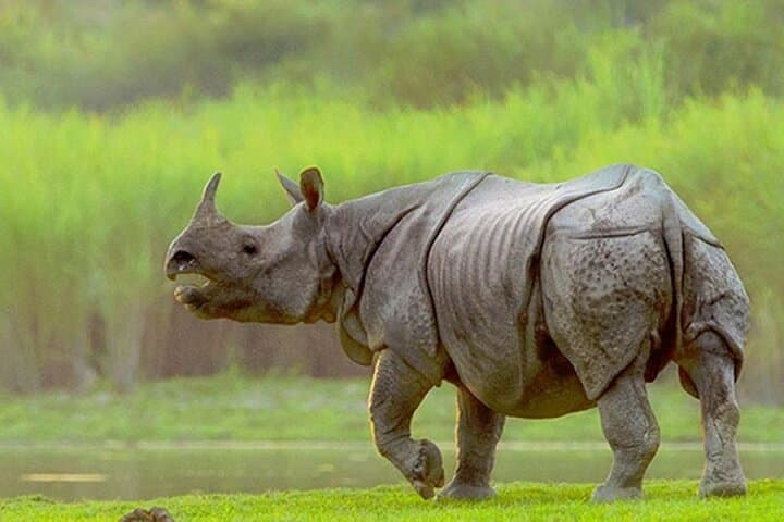 13-Day Assam Meghalaya Arunachal Tour: Brahmaputra Valleys, Tawang Heights & Kaziranga Wildlife photo 5