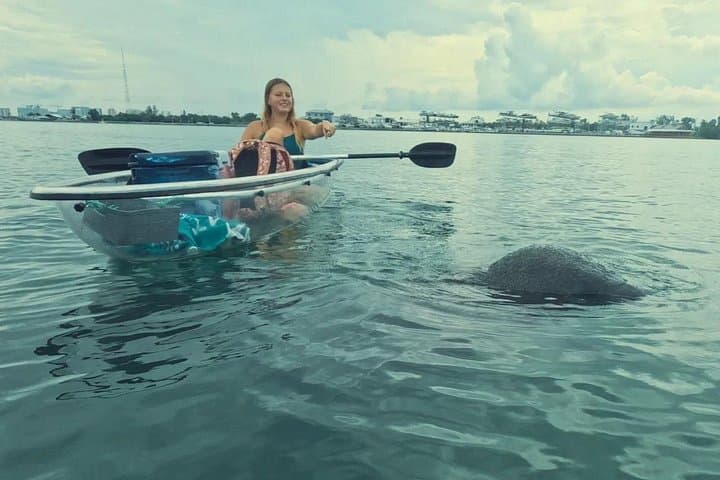 Clear Kayak Mangrove Tunnel Eco Tour — Longboat Key, Sarasota photo 2