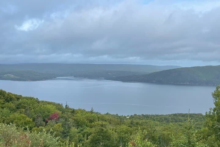 Mini Cabot Explorer: Half-Day Cabot Trail Scenic Tour from Sydney photo 2
