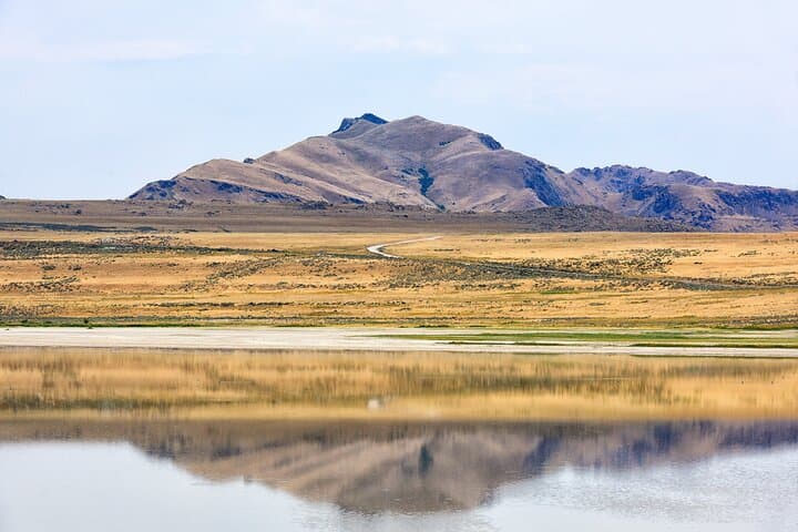 Exploring Antelope Island: A Wildlife Expedition on Utah’s Great Salt Lake photo 2