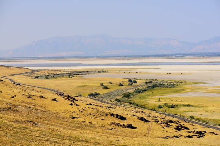 Exploring Antelope Island: A Wildlife Expedition on Utah’s Great Salt Lake photo 6