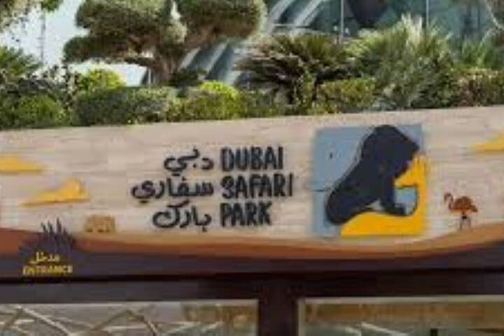 Dubai Safari Park Wildlife Adventure: Tickets, Rides & Conservation Guide photo 5