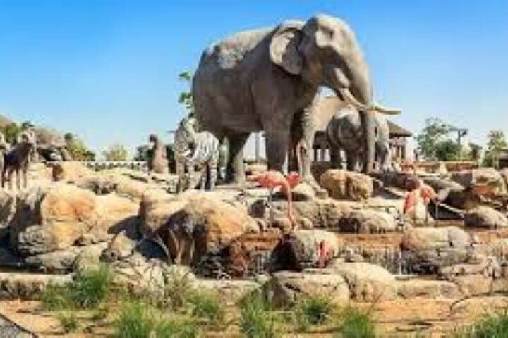 Dubai Safari Park Wildlife Adventure: Tickets, Rides & Conservation Guide photo 6