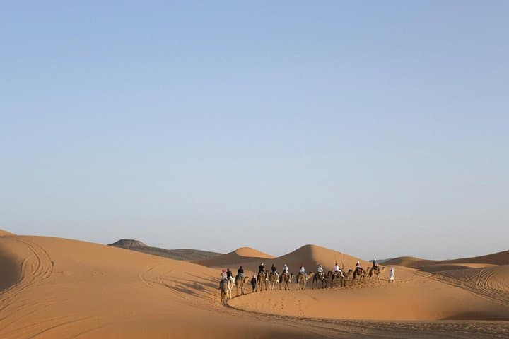 Dubai Morning Desert Safari: Half-Day Dune Bashing, Camel Ride & Sandboarding photo 3