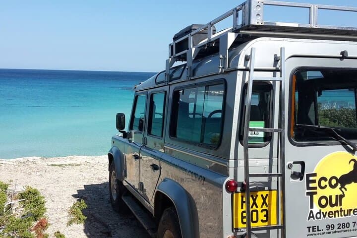 Akamas Peninsula EcoTour: Full-Day 4x4, Gorge Hike & Turtle Bay Swim photo 3