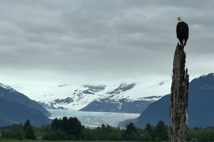 Private Juneau Sightseeing Tour and Macaulay Salmon Hatchery Visit (3 Hours) photo 5