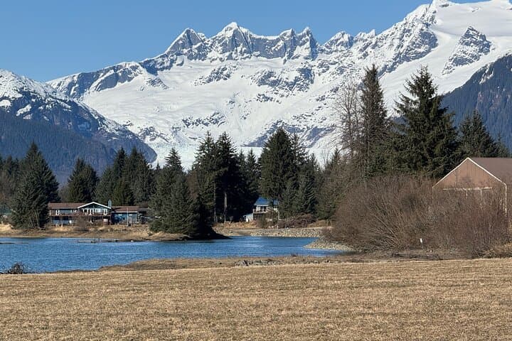 Private Juneau Sightseeing Tour and Macaulay Salmon Hatchery Visit (3 Hours) photo 6