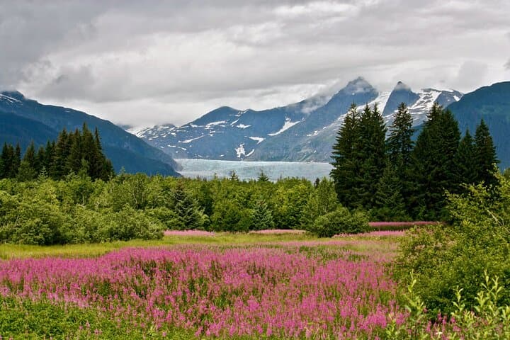 Juneau Private Bike Tour: Glacier Views & Local Sightseeing photo 5
