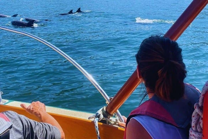 Shared Sailing Adventure in Puerto Vallarta: Bay of Banderas & Los Arcos photo 2
