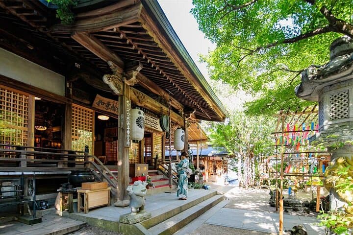 Kyushu Day Trip: Yufuin no Mori Train, Kinrin Lake & Dazaifu Tenmangu photo 3
