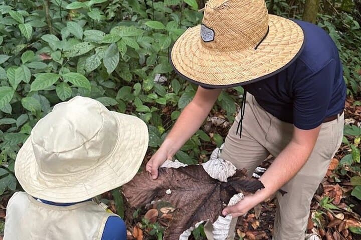 Private El Yunque Rainforest Tour — Custom Hikes & Waterfalls photo 4