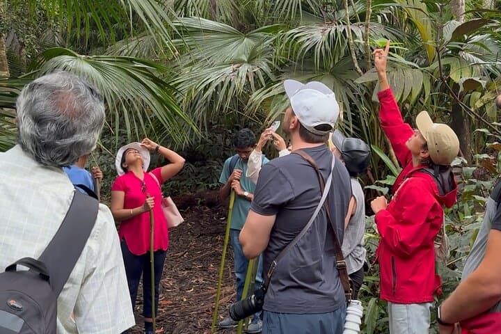 Kona Cloud Forest & Coffee Tour with Sea Turtle Beach — Day Trip from Kailua-Kona photo 3