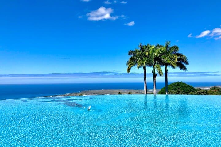Kona Cloud Forest & Coffee Tour with Sea Turtle Beach — Day Trip from Kailua-Kona photo 5