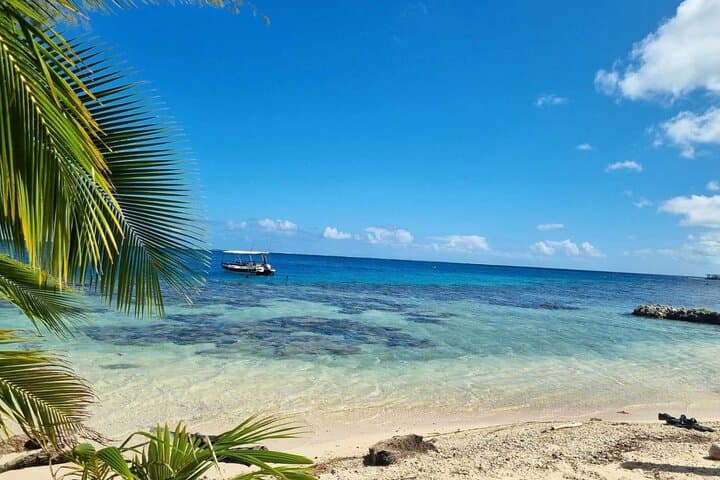 Private Tahaa Boat Tour: Vanilla Groves, Pearl Farm, Coral Garden & Motu Lunch photo 1