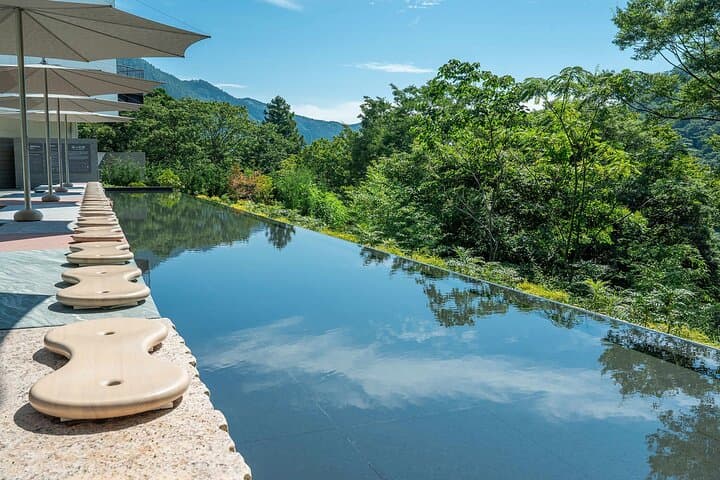 Private Hakone Art Tour — Open-Air Sculptures, Lalique Glass & Pola Museum photo 4