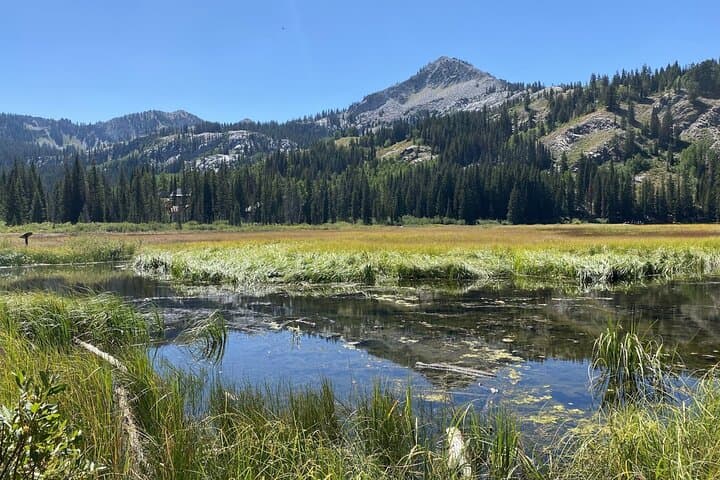 Scenic Park City Tour via Big Cottonwood Canyon: Day Trip from Salt Lake City photo 5