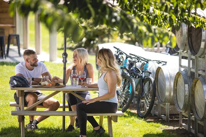 Half-Day Bike the Wineries: Gibbston Valley Wine Trail from Queenstown photo 1