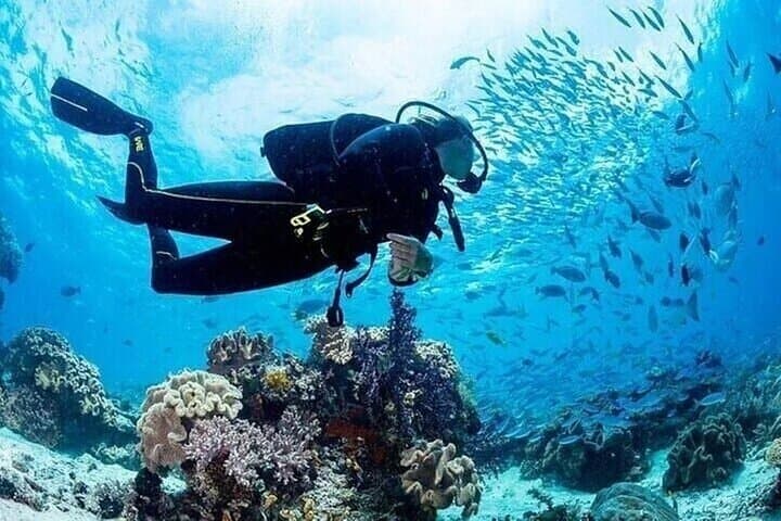 Coral Garden Diving Trip — Two Dives & Snorkel Day from Marsa Alam photo 2