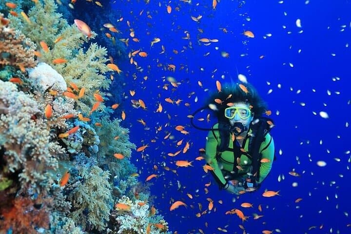 Advanced Open Water Diving Course in Sharm El Sheikh — 2-Day Red Sea Certification photo 3