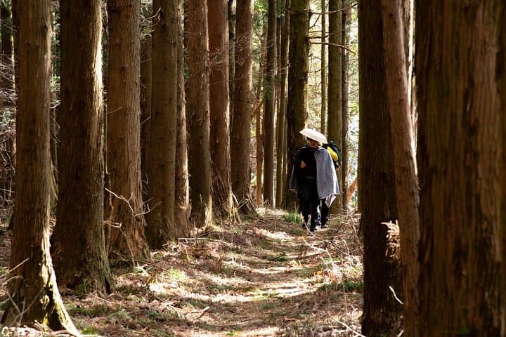 Usui Pass Edo-Era Walk: Historic Nakasendo Trek from Karuizawa
